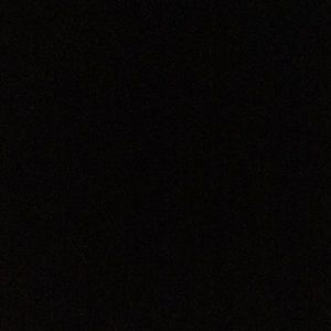 Meet your Posher, Nina